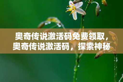 奥奇传说激活码免费领取,奥奇传说激活码,探索神秘世界的钥匙 奥奇传说激活码免费领取,奥奇传说激活码,探索神秘世界的钥匙