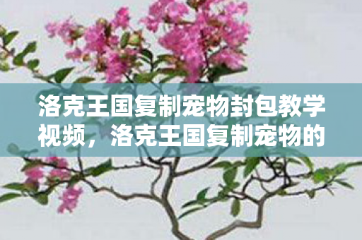 洛克王国复制宠物封包教学视频,洛克王国复制宠物的奥秘,探索游戏内的独特机制 洛克王国复制宠物封包教学视频,洛克王国复制宠物的奥秘,探索游戏内的独特机制