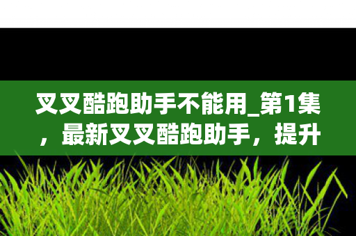 叉叉酷跑助手不能用_第1集,最新叉叉酷跑助手,提升游戏体验的得力助手 叉叉酷跑助手不能用_第1集,最新叉叉酷跑助手,提升游戏体验的得力助手