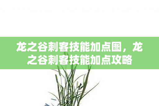 龙之谷刺客技能加点图，龙之谷刺客技能加点攻略