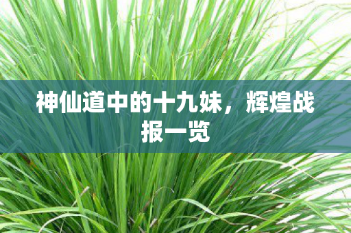 神仙道中的十九妹，辉煌战报一览