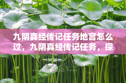 九阴真经传记任务地宫怎么过,九阴真经传记任务,探寻江湖隐秘的传奇之旅 九阴真经传记任务地宫怎么过,九阴真经传记任务,探寻江湖隐秘的传奇之旅