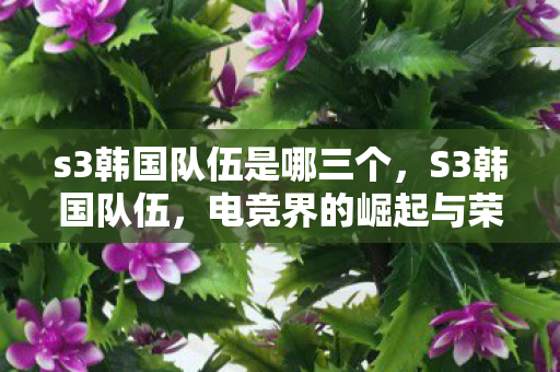 s3韩国队伍是哪三个,S3韩国队伍,电竞界的崛起与荣耀 s3韩国队伍是哪三个,S3韩国队伍,电竞界的崛起与荣耀