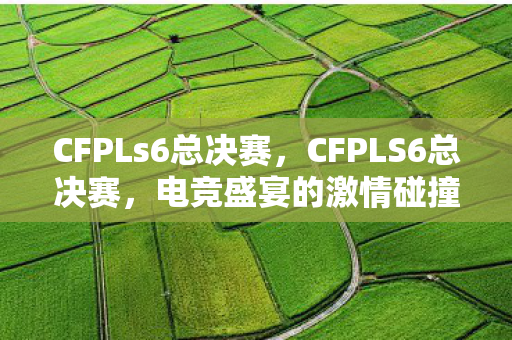 CFPLs6总决赛,CFPLS6总决赛,电竞盛宴的激情碰撞 CFPLs6总决赛,CFPLS6总决赛,电竞盛宴的激情碰撞