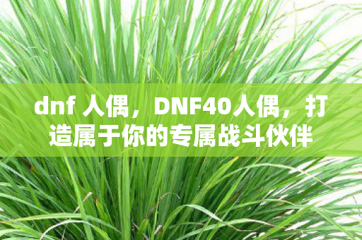 dnf 人偶,DNF40人偶,打造属于你的专属战斗伙伴 dnf 人偶,DNF40人偶,打造属于你的专属战斗伙伴