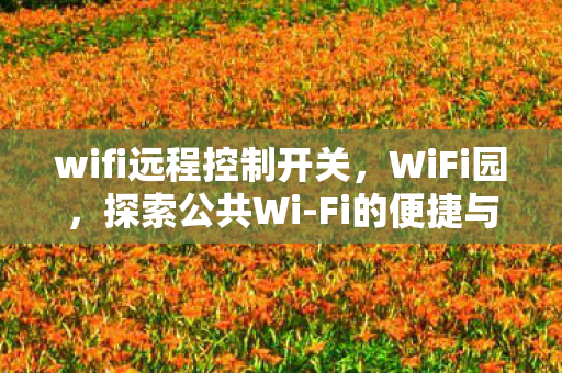 wifi远程控制开关,WiFi园,探索公共Wi-Fi的便捷与安全边界 wifi远程控制开关,WiFi园,探索公共Wi-Fi的便捷与安全边界