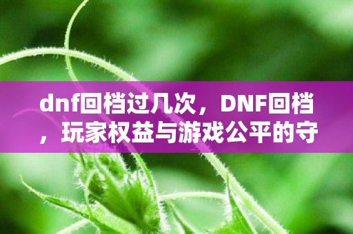 dnf回档过几次,DNF回档,玩家权益与游戏公平的守护者 dnf回档过几次,DNF回档,玩家权益与游戏公平的守护者