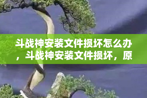 斗战神安装文件损坏怎么办,斗战神安装文件损坏,原因分析与修复指南 斗战神安装文件损坏怎么办,斗战神安装文件损坏,原因分析与修复指南