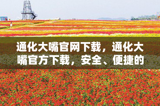 通化大嘴官网下载,通化大嘴官方下载,安全、便捷的游戏体验 通化大嘴官网下载,通化大嘴官方下载,安全、便捷的游戏体验