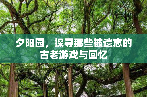 夕阳园,探寻那些被遗忘的古老游戏与回忆 夕阳园,探寻那些被遗忘的古老游戏与回忆