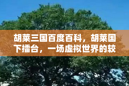 胡莱三国百度百科,胡莱国下擂台,一场虚拟世界的较量 胡莱三国百度百科,胡莱国下擂台,一场虚拟世界的较量