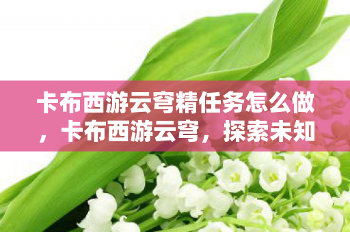卡布西游云穹精任务怎么做,卡布西游云穹,探索未知世界的奇幻之旅 卡布西游云穹精任务怎么做,卡布西游云穹,探索未知世界的奇幻之旅