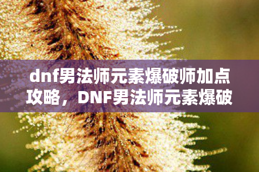dnf男法师元素爆破师加点攻略，DNF男法师元素爆破师加点攻略