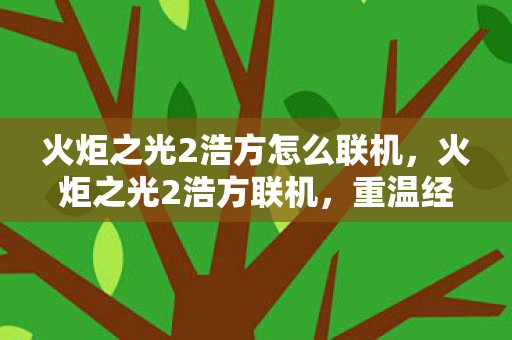 火炬之光2浩方怎么联机,火炬之光2浩方联机,重温经典,与好友共战 火炬之光2浩方怎么联机,火炬之光2浩方联机,重温经典,与好友共战
