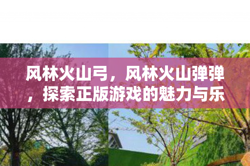 风林火山弓,风林火山弹弹,探索正版游戏的魅力与乐趣 风林火山弓,风林火山弹弹,探索正版游戏的魅力与乐趣