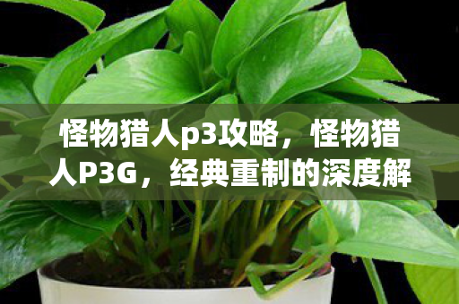 怪物猎人p3攻略，怪物猎人P3G，经典重制的深度解析与体验分享