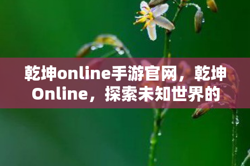 乾坤online手游官网,乾坤Online,探索未知世界的奇幻之旅 乾坤online手游官网,乾坤Online,探索未知世界的奇幻之旅