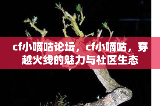 cf小嘀咕论坛，cf小嘀咕，穿越火线的魅力与社区生态