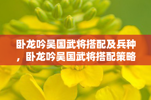 卧龙吟吴国武将搭配及兵种，卧龙吟吴国武将搭配策略