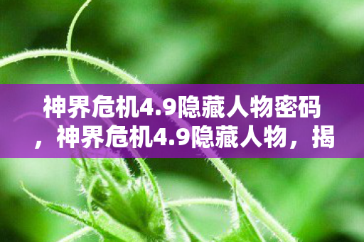 神界危机4.9隐藏人物密码,神界危机4.9隐藏人物,揭秘未知的英雄之旅 神界危机4.9隐藏人物密码,神界危机4.9隐藏人物,揭秘未知的英雄之旅