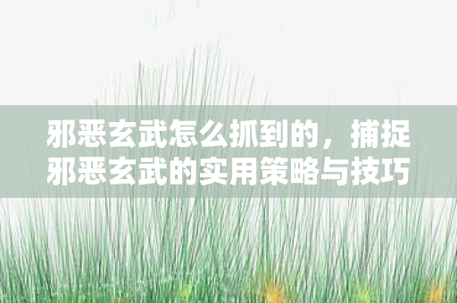 邪恶玄武怎么抓到的,捕捉邪恶玄武的实用策略与技巧 邪恶玄武怎么抓到的,捕捉邪恶玄武的实用策略与技巧
