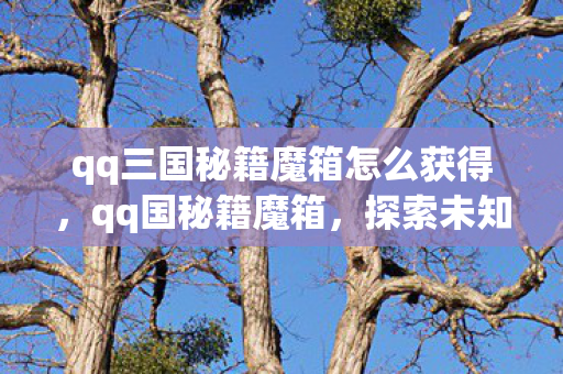 qq三国秘籍魔箱怎么获得，qq国秘籍魔箱，探索未知世界的神秘宝箱