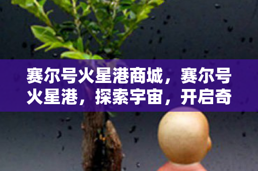 赛尔号火星港商城,赛尔号火星港,探索宇宙,开启奇妙之旅 赛尔号火星港商城,赛尔号火星港,探索宇宙,开启奇妙之旅