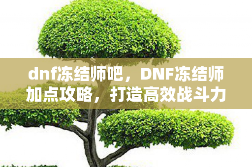 dnf冻结师吧,DNF冻结师加点攻略,打造高效战斗力的关键 dnf冻结师吧,DNF冻结师加点攻略,打造高效战斗力的关键