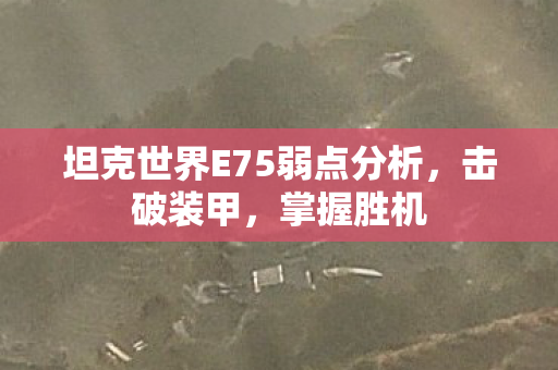 坦克世界E75弱点分析,击破装甲,掌握胜机 坦克世界E75弱点分析,击破装甲,掌握胜机