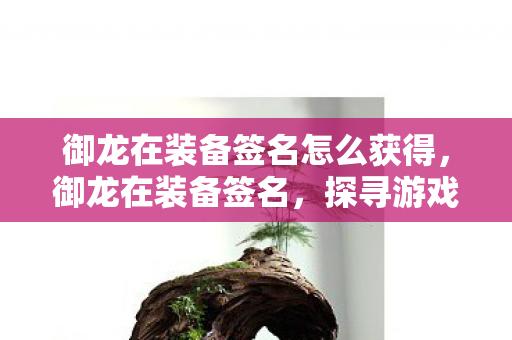 御龙在装备签名怎么获得，御龙在装备签名，探寻游戏中的独特印记