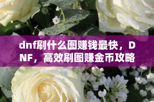 dnf刷什么图赚钱最快,DNF,高效刷图赚金币攻略 dnf刷什么图赚钱最快,DNF,高效刷图赚金币攻略