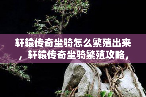 轩辕传奇坐骑怎么繁殖出来,轩辕传奇坐骑繁殖攻略,打造你的专属灵兽 轩辕传奇坐骑怎么繁殖出来,轩辕传奇坐骑繁殖攻略,打造你的专属灵兽