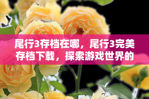 尾行3存档在哪,尾行3完美存档下载,探索游戏世界的无限可能 尾行3存档在哪,尾行3完美存档下载,探索游戏世界的无限可能