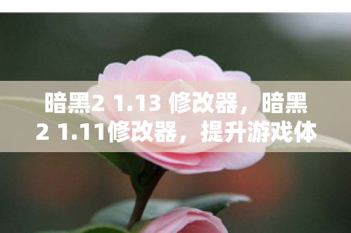 暗黑2 1.13 修改器，暗黑2 1.11修改器，提升游戏体验的合法工具