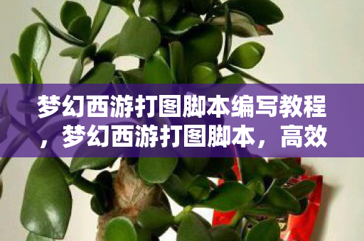 梦幻西游打图脚本编写教程,梦幻西游打图脚本,高效自动化,提升游戏体验 梦幻西游打图脚本编写教程,梦幻西游打图脚本,高效自动化,提升游戏体验