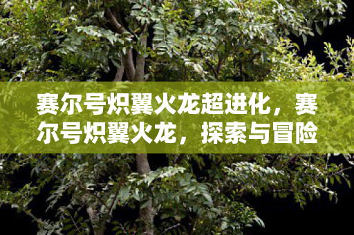 赛尔号炽翼火龙超进化,赛尔号炽翼火龙,探索与冒险的炽热之旅 赛尔号炽翼火龙超进化,赛尔号炽翼火龙,探索与冒险的炽热之旅