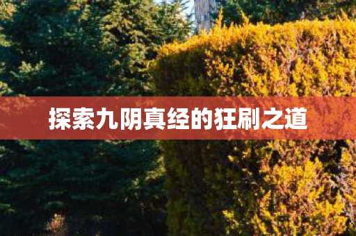 探索九阴真经的狂刷之道 探索九阴真经的狂刷之道