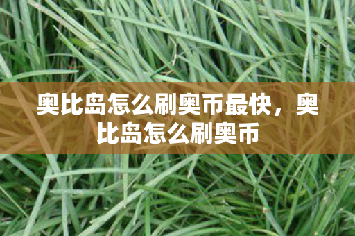 奥比岛怎么刷奥币最快,奥比岛怎么刷奥币 奥比岛怎么刷奥币最快,奥比岛怎么刷奥币