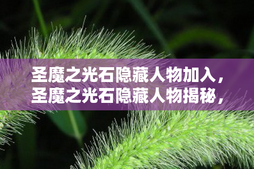 圣魔之光石隐藏人物加入,圣魔之光石隐藏人物揭秘,探索未知的游戏深度 圣魔之光石隐藏人物加入,圣魔之光石隐藏人物揭秘,探索未知的游戏深度