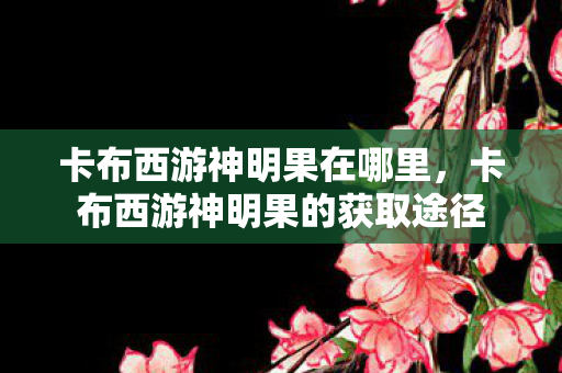 卡布西游神明果在哪里,卡布西游神明果的获取途径 卡布西游神明果在哪里,卡布西游神明果的获取途径
