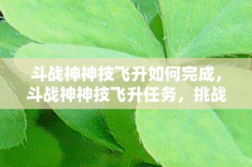 斗战神神技飞升如何完成，斗战神神技飞升任务，挑战与机遇并存的冒险之旅