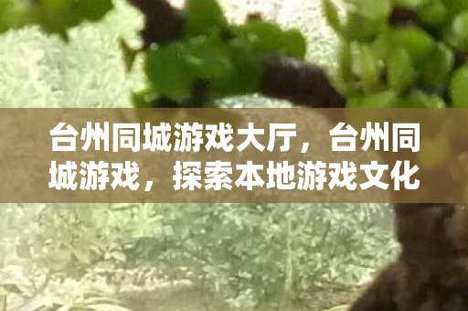 台州同城游戏大厅,台州同城游戏,探索本地游戏文化的魅力 台州同城游戏大厅,台州同城游戏,探索本地游戏文化的魅力