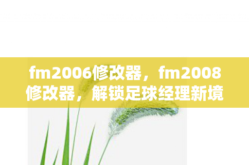 fm2006修改器，fm2008修改器，解锁足球经理新境界的利器