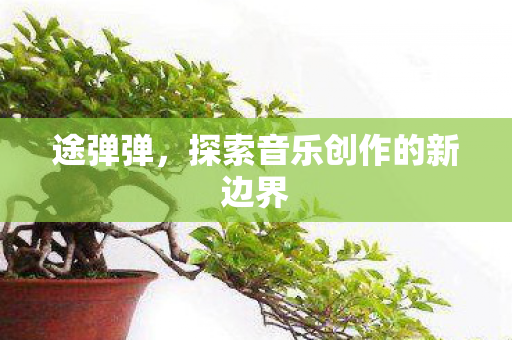 途弹弹,探索音乐创作的新边界 途弹弹,探索音乐创作的新边界