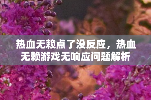 热血无赖点了没反应,热血无赖游戏无响应问题解析 热血无赖点了没反应,热血无赖游戏无响应问题解析