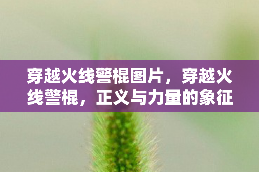 穿越火线警棍图片,穿越火线警棍,正义与力量的象征 穿越火线警棍图片,穿越火线警棍,正义与力量的象征