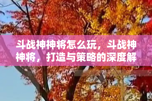斗战神神将怎么玩,斗战神神将,打造与策略的深度解析 斗战神神将怎么玩,斗战神神将,打造与策略的深度解析