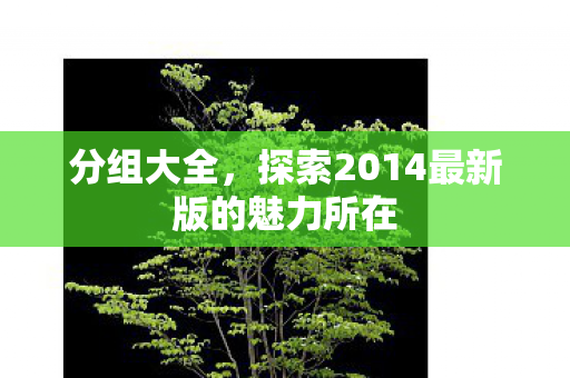 分组大全,探索2014最新版的魅力所在 分组大全,探索2014最新版的魅力所在