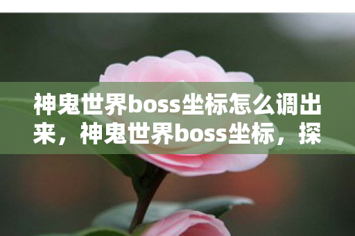 神鬼世界boss坐标怎么调出来，神鬼世界boss坐标，探索未知领域的冒险之旅