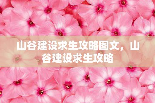 山谷建设求生攻略图文，山谷建设求生攻略